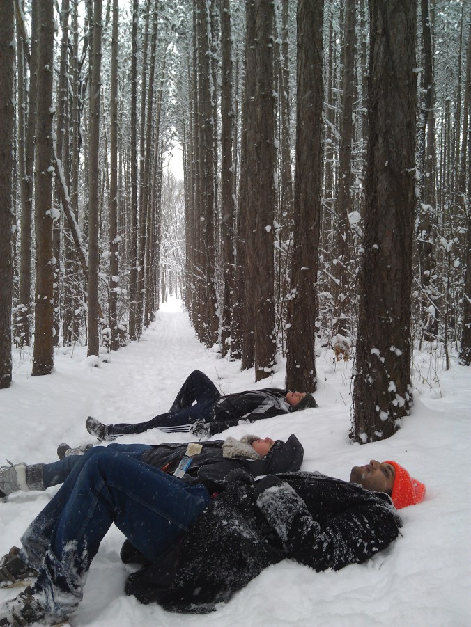 Magnificent Pine Trail